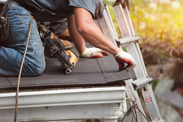 Best Roof Gutter Cleaning  in The Villages, FL